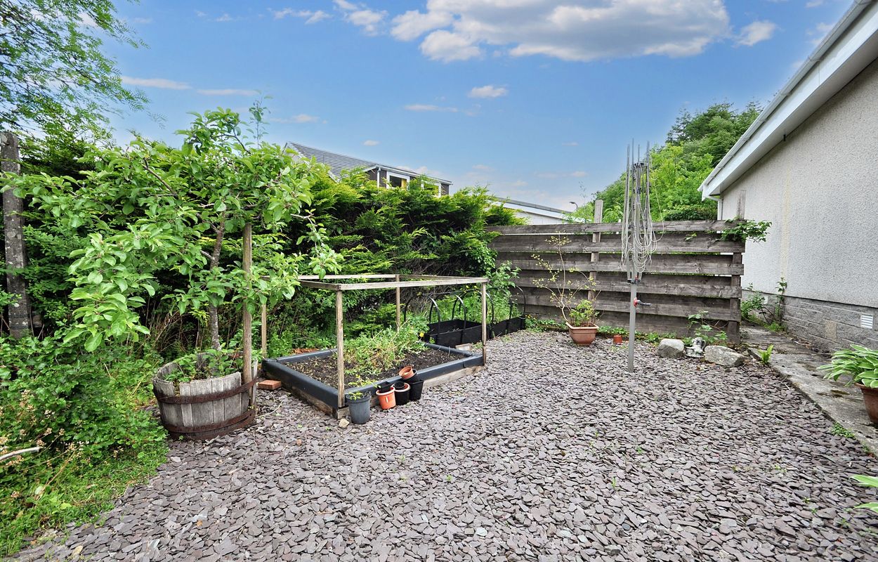Garden 4